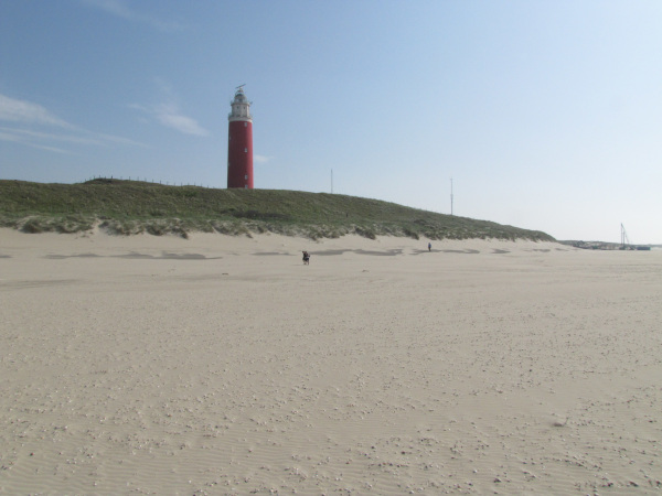 Vogelwerkgroep: Rondje Texel